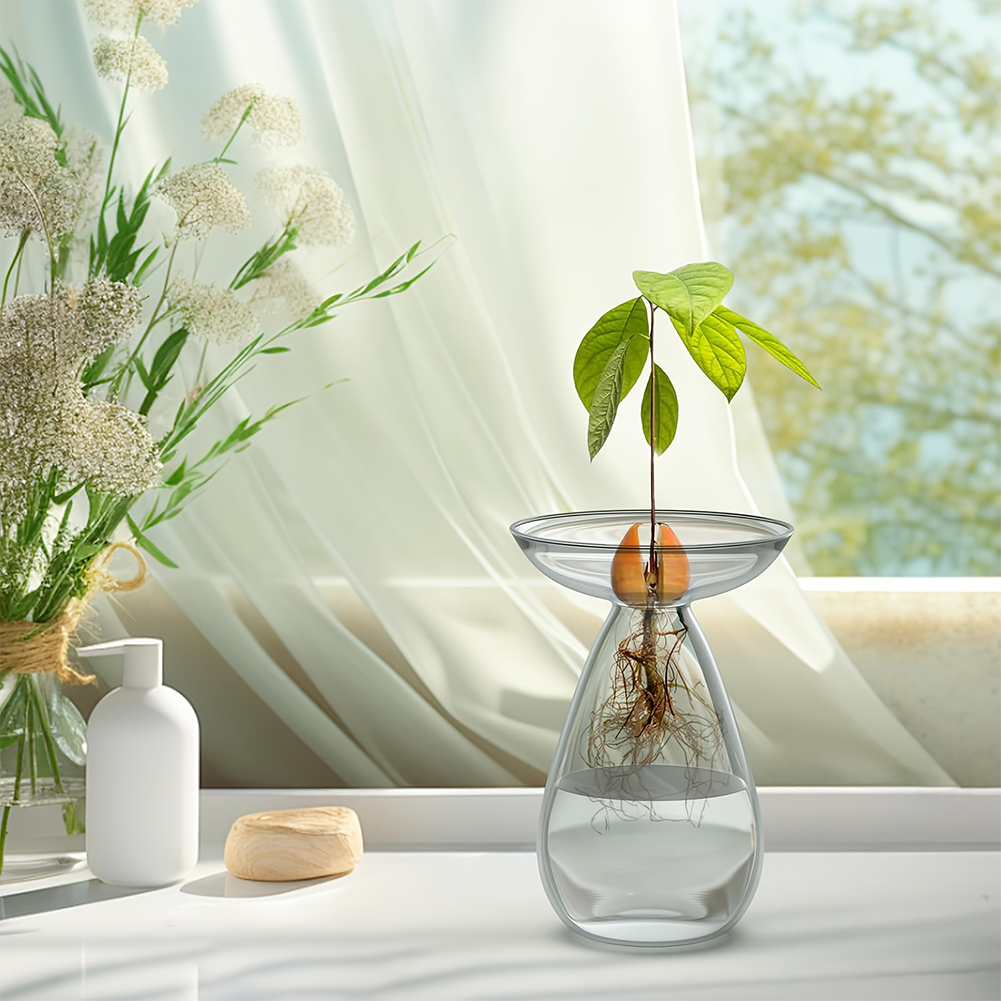 Avocado Seed Starter Vase Tran - Propagation Station Vase recensie en prijs