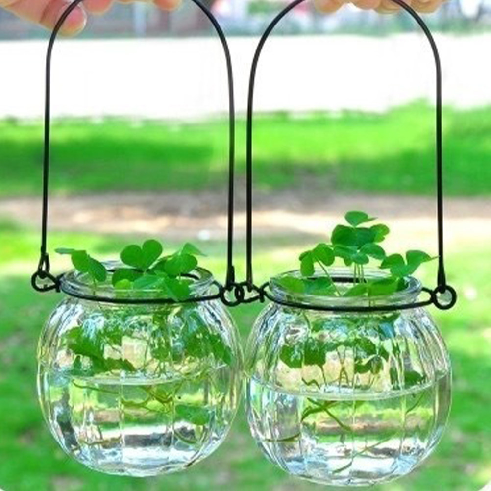 6Pcs Clear Glass Wall Planters - Propagation Station Vase recensie en prijs