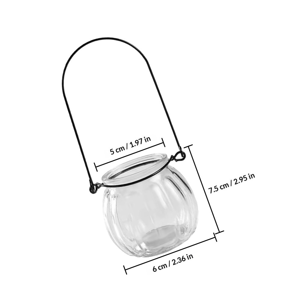 6Pcs Clear Glass Wall Planters - Propagation Station Vase recensie en prijs