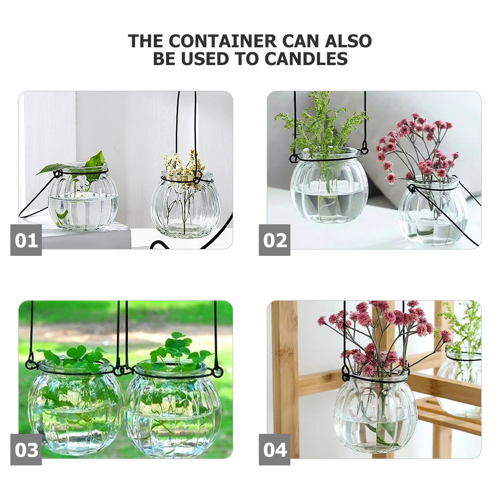 6Pcs Clear Glass Wall Planters - Propagation Station Vase recensie en prijs