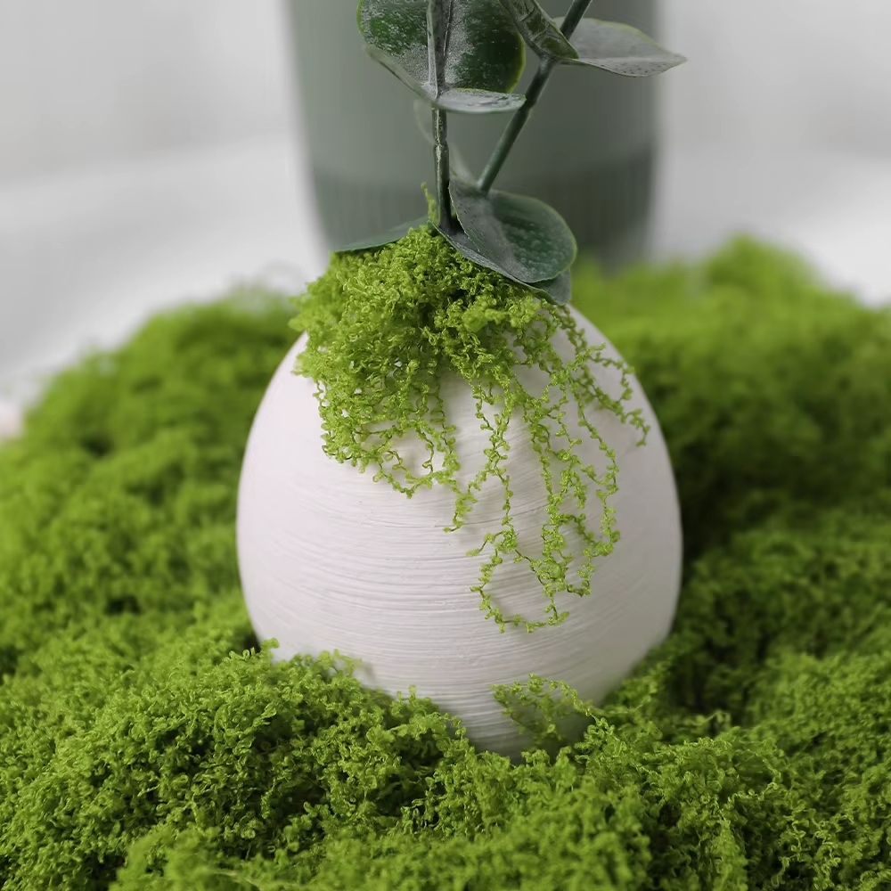 30/100g Artificial Green Plant - Sphagnum Moss Dry recensie en prijs