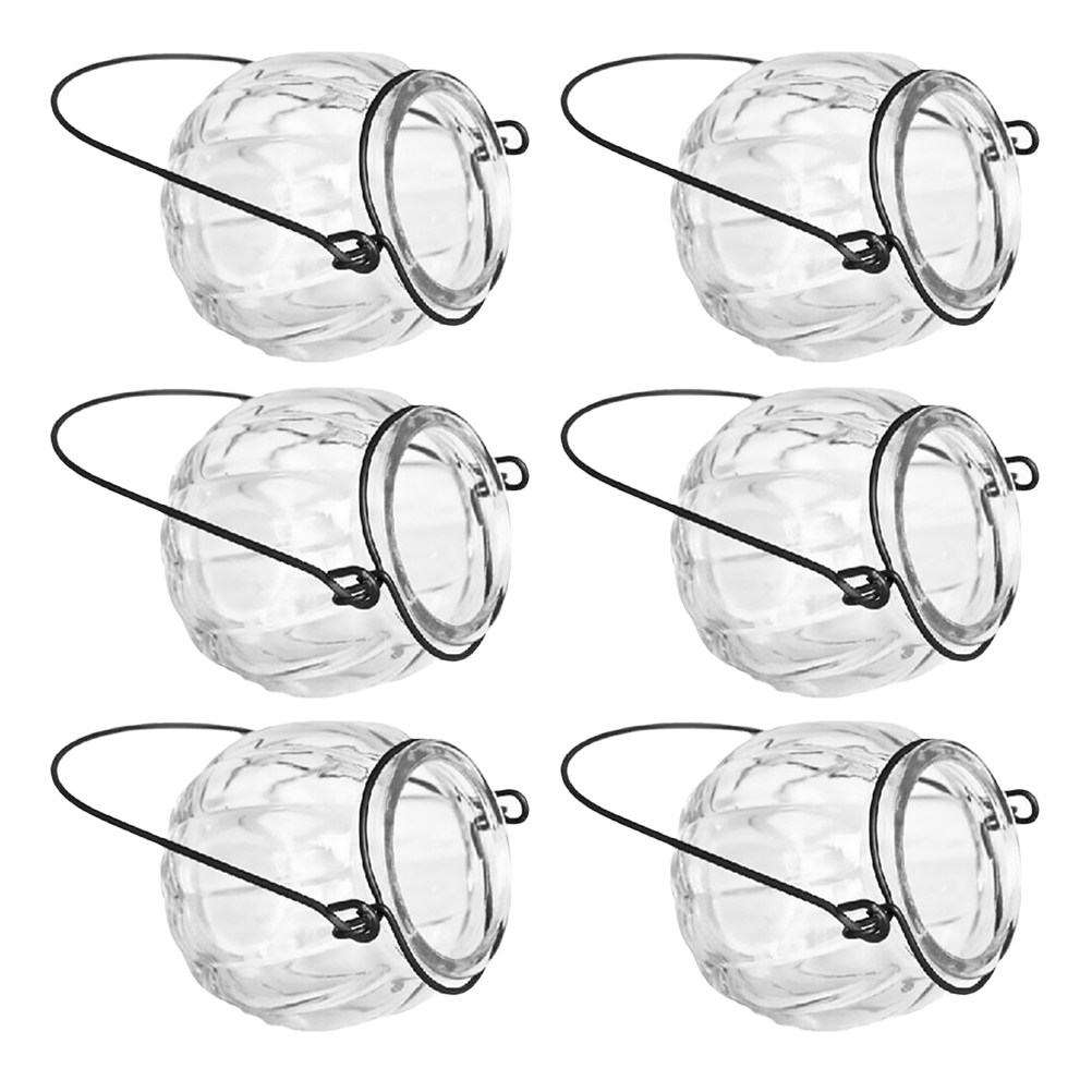 6Pcs Clear Glass Hanging Wall  - Propagation Station Vase recensie en prijs