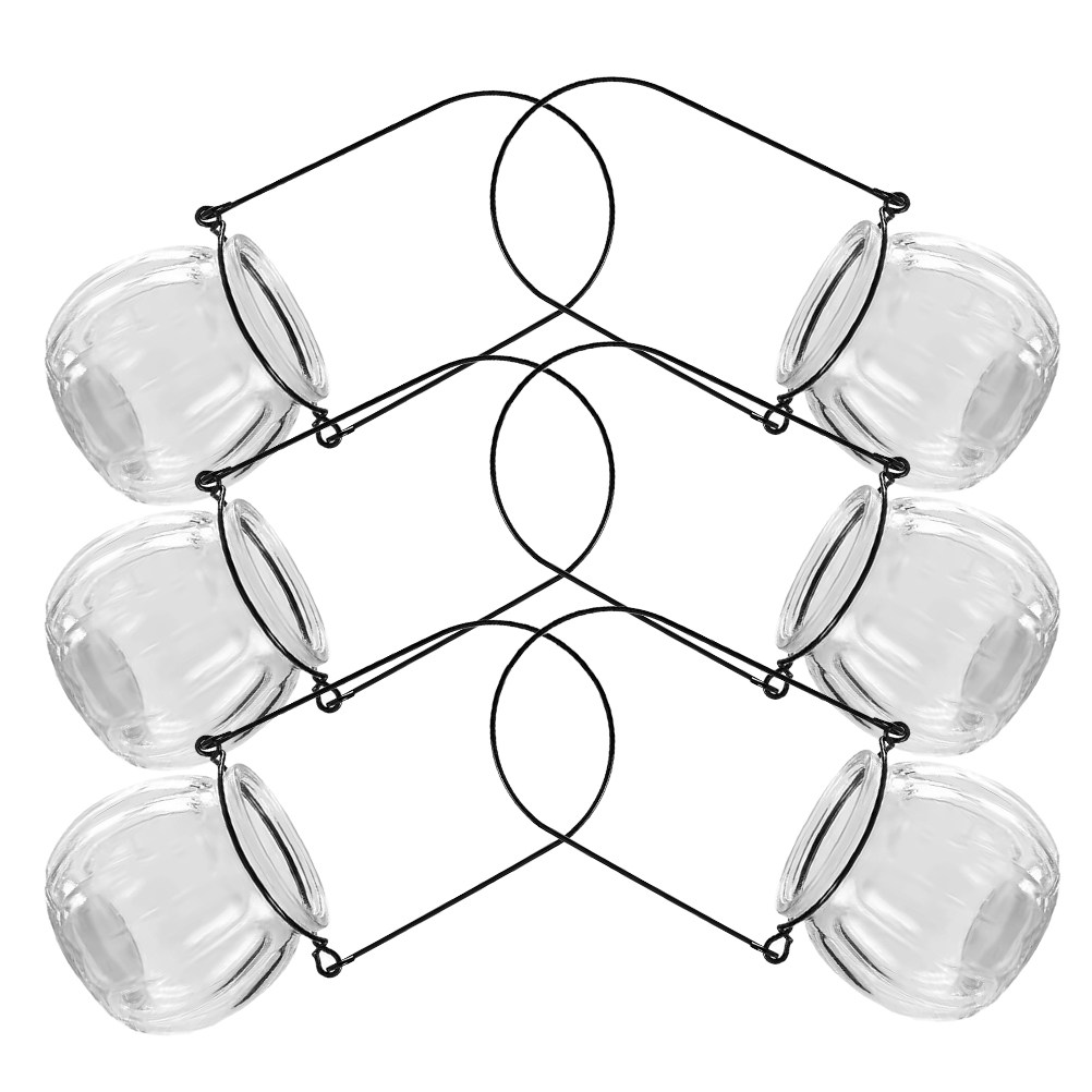 6Pcs Clear Glass Hanging Wall  - Propagation Station Vase recensie en prijs