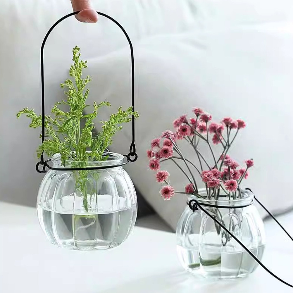 6Pcs Clear Glass Hanging Wall  - Propagation Station Vase recensie en prijs