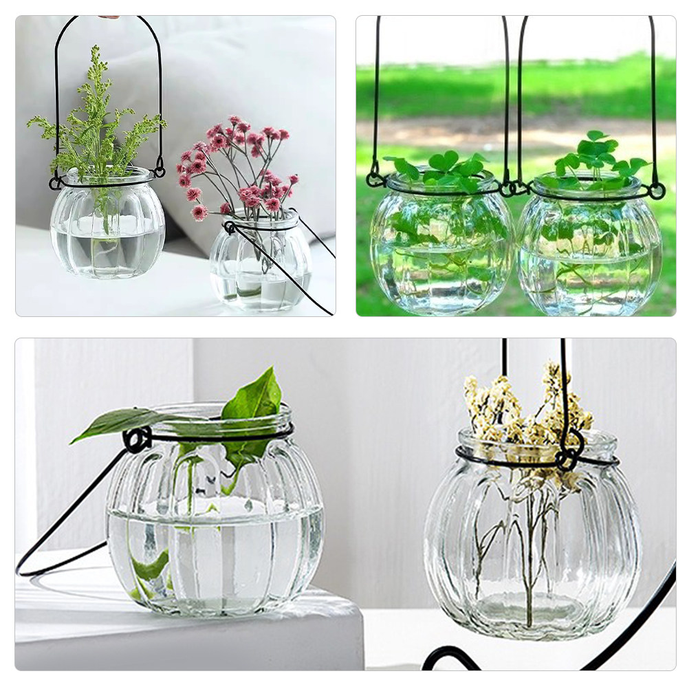 6Pcs Clear Glass Hanging Wall  - Propagation Station Vase recensie en prijs