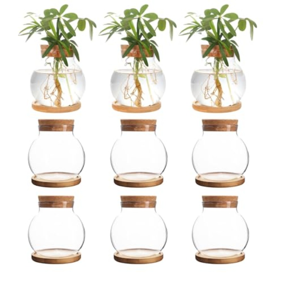 Plant Propagation Station, Hyd - Propagation Station Vase recensie en prijs