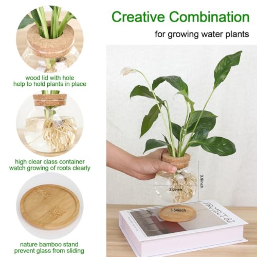 Plant Propagation Station, Hyd - Propagation Station Vase recensie en prijs