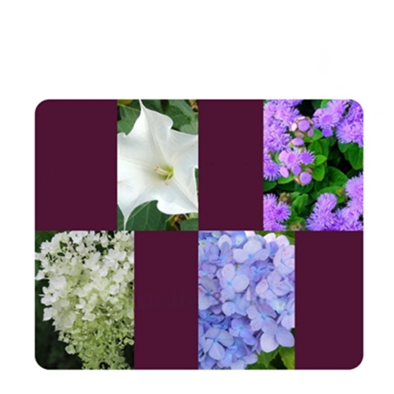 2bags Rooting Hormone Powder U - Rooting Hormone Powder recensie en prijs