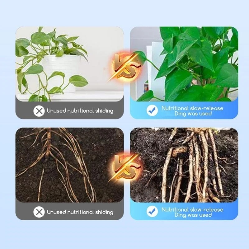 2bags Rooting Hormone Powder U - Rooting Hormone Powder recensie en prijs