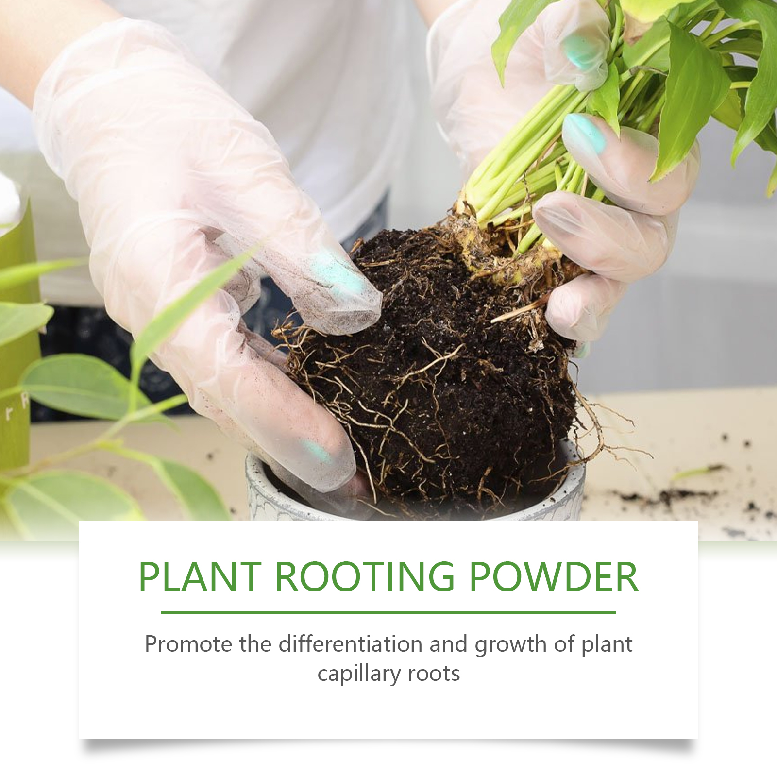 100g Plant Rooting Powder for  - Rooting Hormone Powder recensie en prijs