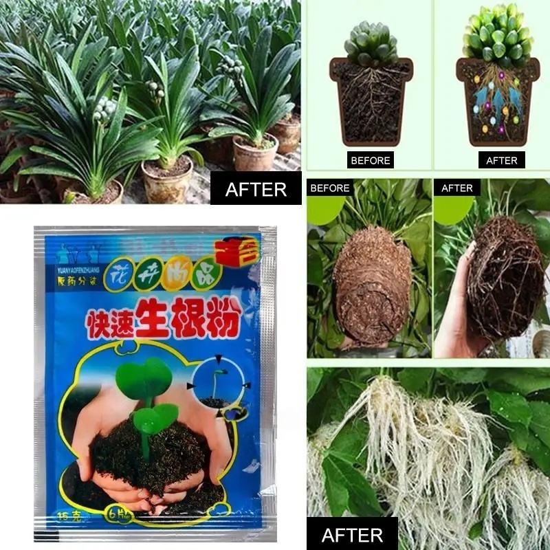 5pcs Fast Rooting Powder Plant - Rooting Hormone Powder recensie en prijs