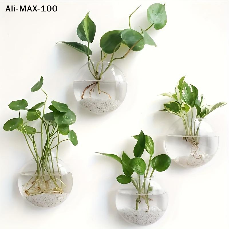 【MA3】Wall Hanging Glass Plant  - Propagation Station Vase recensie en prijs