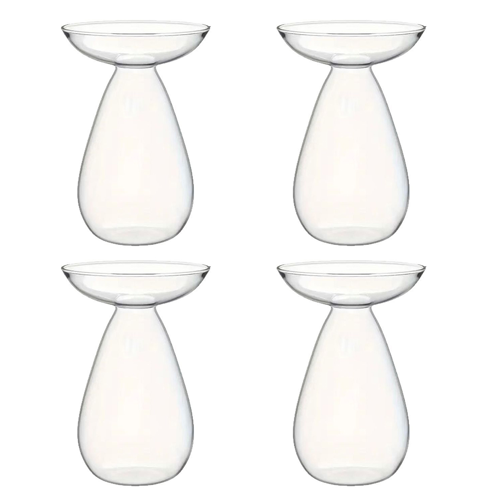 Avocado Seed Starter Vase Tran - Propagation Station Vase recensie en prijs
