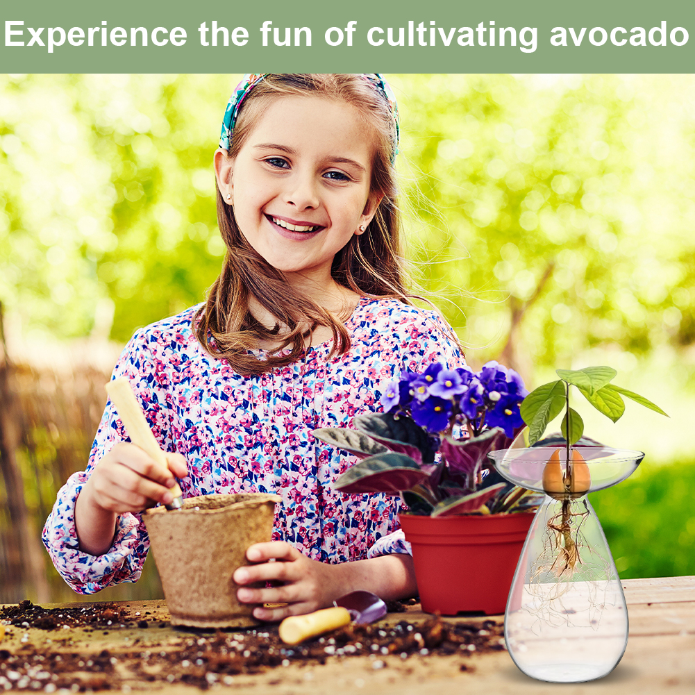 Avocado Seed Starter Vase Tran - Propagation Station Vase recensie en prijs