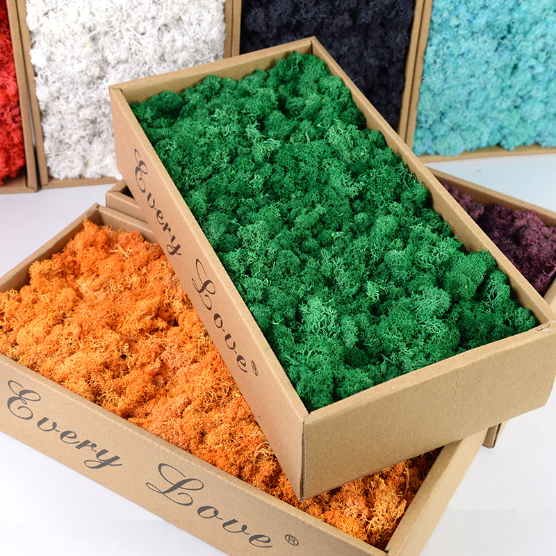40/20g Artificial Moss Grass G - Sphagnum Moss Dry recensie en prijs