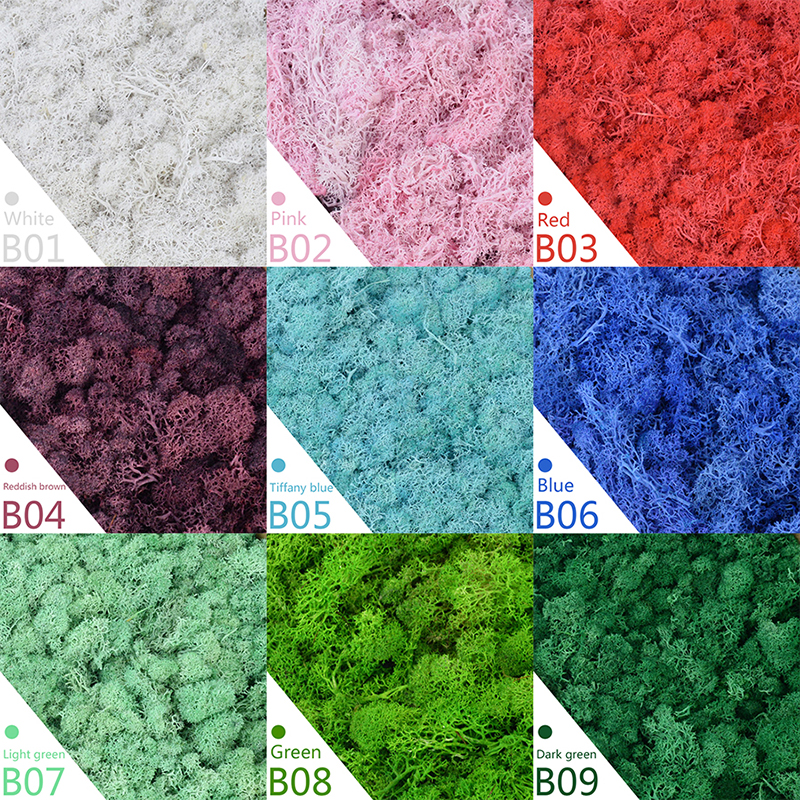 40/20g Artificial Moss Grass G - Sphagnum Moss Dry recensie en prijs