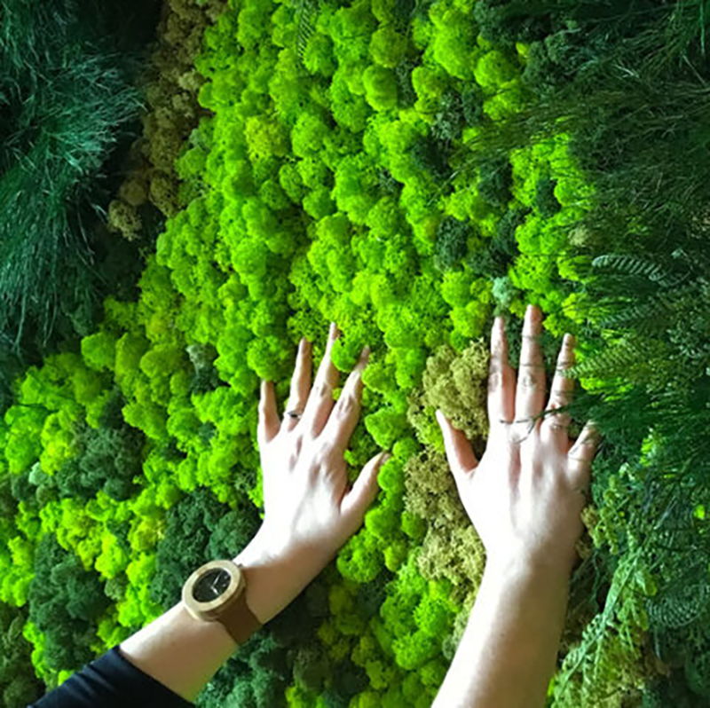 40/20g Artificial Moss Grass G - Sphagnum Moss Dry recensie en prijs