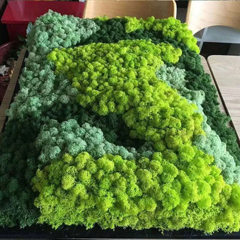 40/20g Artificial Moss Grass G - Sphagnum Moss Dry recensie en prijs